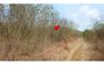 Land for sale in Kan Chu, Phetchabun