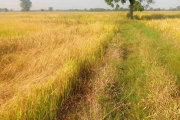 Land for sale in Nong Mueang, Lopburi