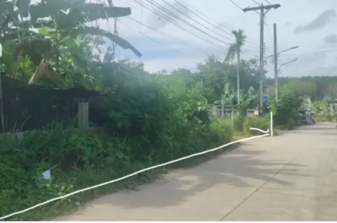 Land for sale in Choeng Thale, Phuket