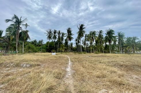 Land for sale in Mae Nam, Surat Thani