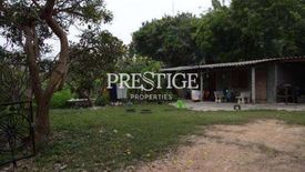 Land for sale in Nong Prue, Chonburi