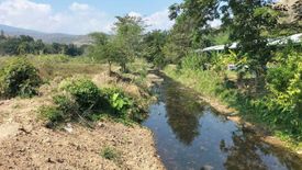 Land for sale in Ban Luang, Chiang Mai