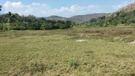 Land for sale in Ban Luang, Chiang Mai