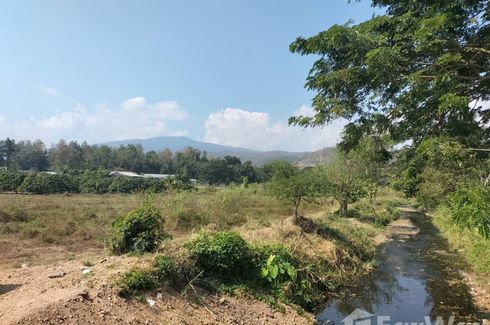 Land for sale in Ban Luang, Chiang Mai