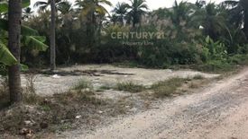 Land for sale in Bang Pakok, Bangkok