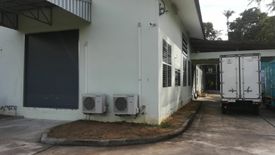 Land for sale in Mai Khao, Phuket