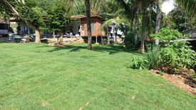 Land for sale in Karon, Phuket