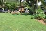 Land for sale in Karon, Phuket