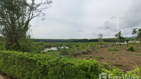 Land for sale in Choeng Thale, Phuket