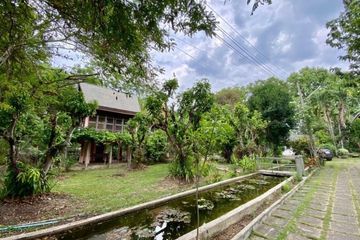 Land for sale in San Klang, Chiang Mai