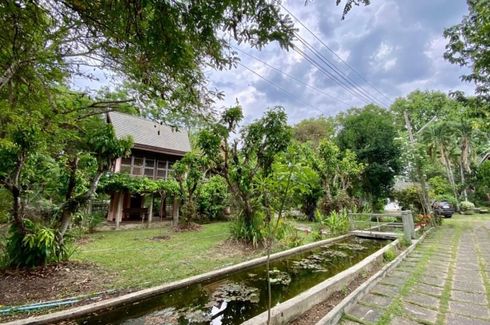 Land for sale in San Klang, Chiang Mai