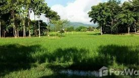 Land for sale in Mae Raem, Chiang Mai