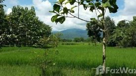 Land for sale in Mae Raem, Chiang Mai