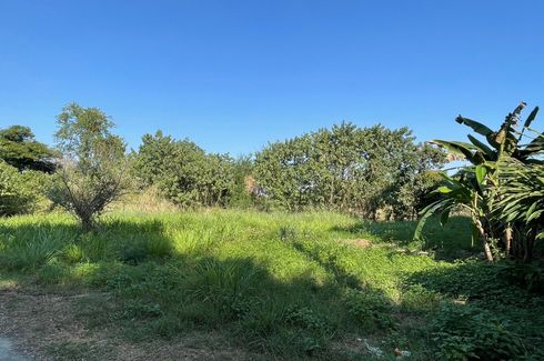 Land for sale in Fa Ham, Chiang Mai