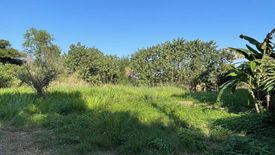 Land for sale in Fa Ham, Chiang Mai