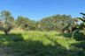 Land for sale in Fa Ham, Chiang Mai