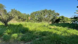Land for sale in Fa Ham, Chiang Mai