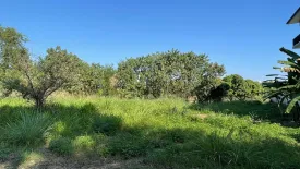 Land for sale in Fa Ham, Chiang Mai