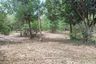 Land for sale in Nong Pla Lai, Chonburi