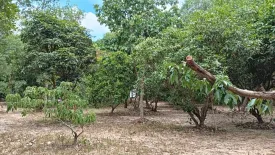 Land for sale in Nong Pla Lai, Chonburi