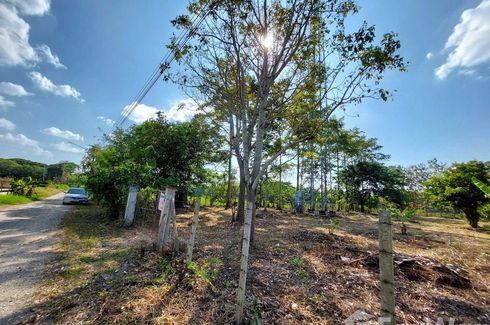 Land for sale in Nong Phueng, Chiang Mai