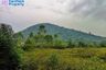 Land for sale in Sam Roi Yot, Prachuap Khiri Khan