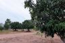 Land for sale in Nong Prue, Chonburi