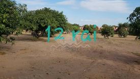 Land for sale in Nong Prue, Chonburi