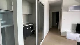 2 Bedroom Condo for rent in The Tree Sukhumvit 71 - Ekamai, Suan Luang, Bangkok near Airport Rail Link Ramkhamhaeng