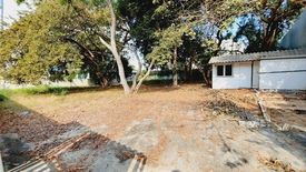 Land for sale in Nong Prue, Chonburi