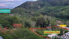 Land for sale in Lanta Sunrise Hill, Sala Dan, Krabi