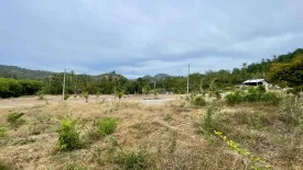 Land for sale in Mae Nam, Surat Thani