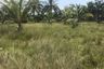 Land for sale in Krasom, Phang Nga
