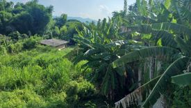 Land for sale in Huai Sai, Chiang Mai