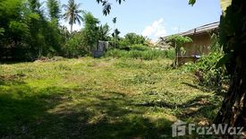 Land for sale in Huai Sai, Chiang Mai