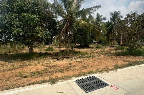 Land for sale in Huai Yai, Chonburi