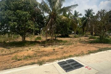 Land for sale in Huai Yai, Chonburi