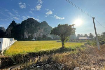 Land for sale in Ban Mung, Phitsanulok