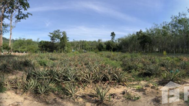 Land for sale in Thep Krasatti, Phuket