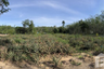 Land for sale in Thep Krasatti, Phuket