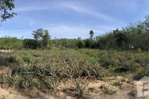 Land for sale in Thep Krasatti, Phuket