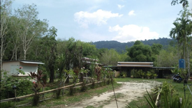 Land for sale in Thep Krasatti, Phuket