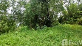 Land for sale in Kamala, Phuket