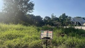 Land for sale in Summit Green Valley, Mae Sa, Chiang Mai