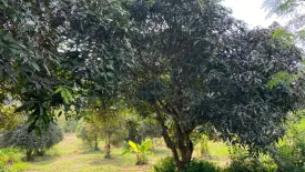 Land for sale in Bang Sare, Chonburi