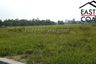 Land for sale in Nong Prue, Chonburi