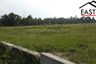 Land for sale in Nong Prue, Chonburi