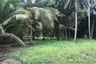 Land for sale in Ko Chang Tai, Trat