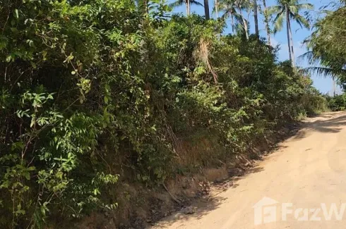 Land for sale in Mae Nam, Surat Thani