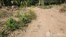 Land for sale in Mae Nam, Surat Thani